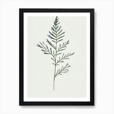 Schafgarbenblatt minimalistisch Aquarell gerahmt Wandbild Poster Leinwanddruck Bild