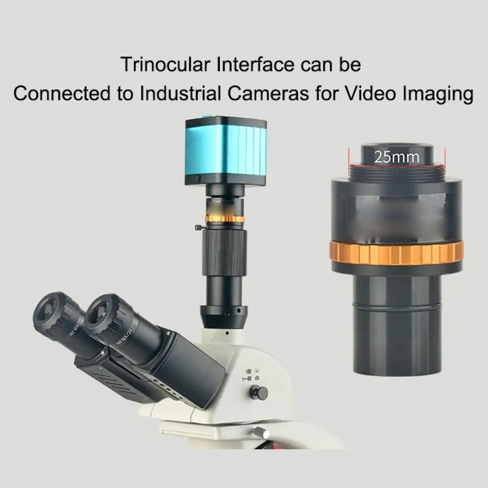 Adjustable 0.5X Microscope Electronic Eyepiece For Clear Imaging In