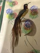 Plumeria Bird Of paradise Card Made With Real Feathers