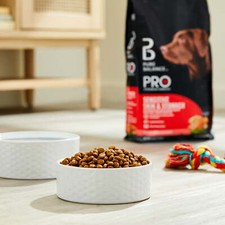 Pro Sensitive Skin  Stomach Dog Food, Salmon  Rice Recipe, 8 lb Bag