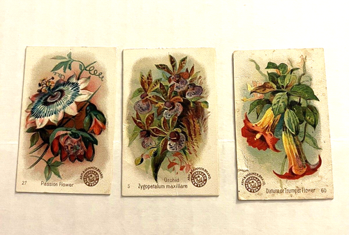 11 Antique Baking Powder Trade Cards, Unrivaled, Columbia, Shaw's, Arm &Hammer - Picture 8 of 9