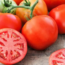 50+   MARGLOBE Tomato Seeds, Fresh, Ready for Planting. Free Shipping USA