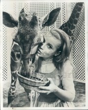 Foto de prensa 1966 bonita actriz Judi Rolin alimenta jirafa