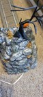 Bild 10 von 13