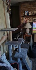 Gray EveryYay Cat Tower 45" Tall with Sisal Scratching Posts, Platforms, Condo