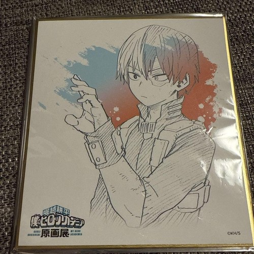 Shikishi My Hero Academia - Artwork Officiel Bandai, Parfait Pour Les Collectionneurs