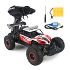 1/16 Rc Car 2Wd High Speed Electric Climbing Car Off Road Truck With 2 Battery