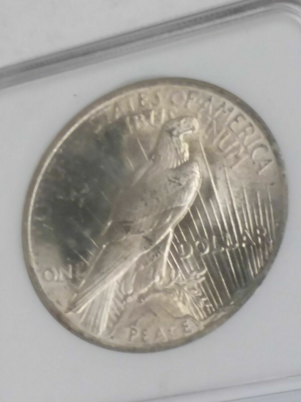 Picture 4 of 6