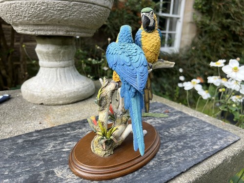 Country Artists Ein Paar Papageien "Saphir & Gold" Modell 04903 von K Sherwin - Bild 11 von 21