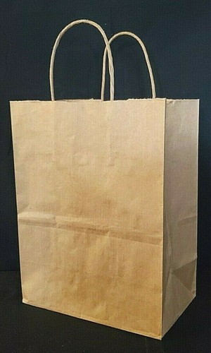 Natural Brown Paper Party Gift Bag With Paper Handles 11" Tall x 8" W - Picture 2 of 5