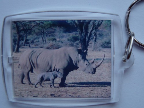 Wild Animals & Wild Birds Photo Keyring / bag tag, clear plastic, - Picture 24 of 52