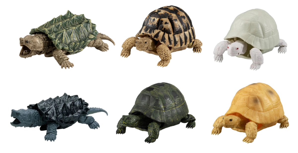 The Diversity of Life on Earth Turtle Action Figure Bandai Capsule