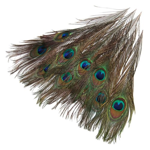 10x Eye Tail Feather for DIY Crafts Hat Millinery Making - Picture 3 of 7