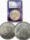 🔥1923 MS66 PEACE DOLLAR NGC PURPLE CORE🔥HI GRADE AMERICAN SILVER DOLLAR🇺🇸