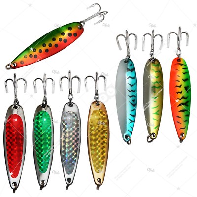 blue hook fish Emperor blue hooks   https://jzxonline.com/collections/livestocks/products/otherspecies-myleus-schomburgkii-9-14cm