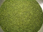 Japanese Green Tea Kuradashi Gyokuroko 蔵出し玉露粉 500g(1.1lb)