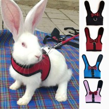 Pet Small Animal Mesh Hamster Rabbit Vest Harness Leash Lead Bunny Traction Rope