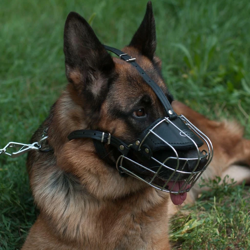 German Shepherd Dog Muzzle Size Wire Basket Soft Padded Cage Medium Large 30 Szs