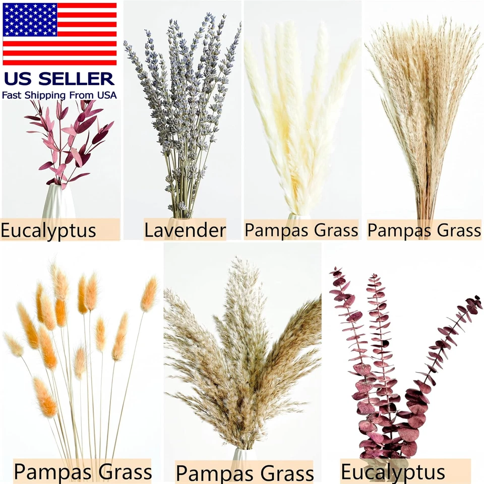 Ramo de flores secas de otoño con hierba pampeana, colas de conejo naranja, lavanda y rojo Foto 3 de 4