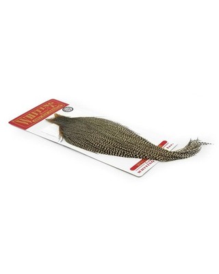 Silber Cape Grizzly Whiting