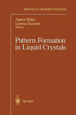 Pattern Formation in Liquid Crystals - 9781461284642