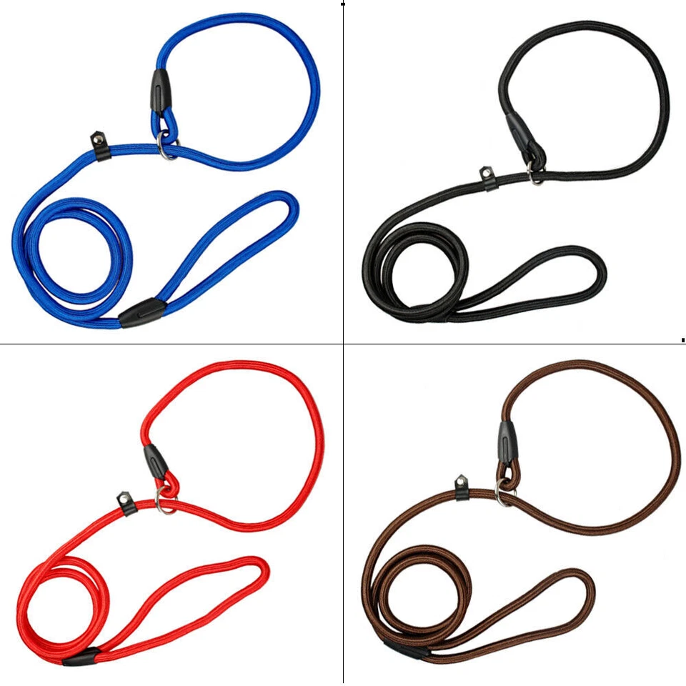Correa ajustable de nailon duradera para perros con correa ajustable para mascotas cachorros collar de entrenamiento cuerda de bucle Foto 2 de 4