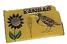 Pack of 24 Kansas State Bike Motorcycle Hat Cap Lapel Pin HP6008