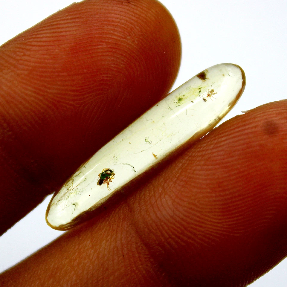 Certified 2.85 Cts Natural Fossilized Baltic Amber Crystal Egg Mineral Specimen - Image 3 of 4