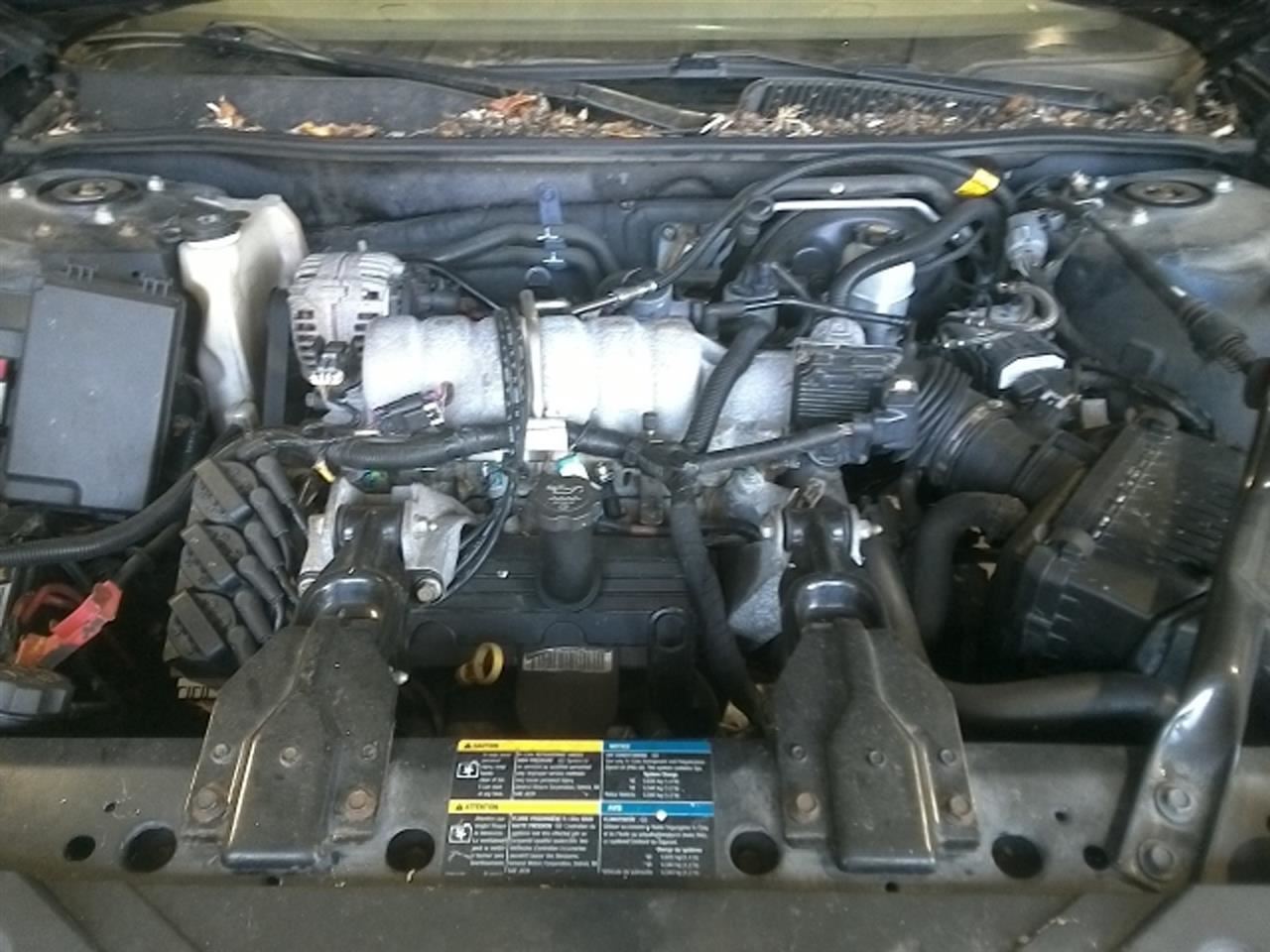 Picture 12 of 12