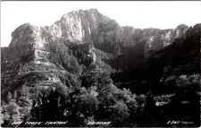 RPPC  OAK CREEK CANYON, AZ  Arizona   Beautiful SCENIC VIEW   c1940s Postcard
