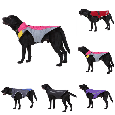 caterpillar toy forklift