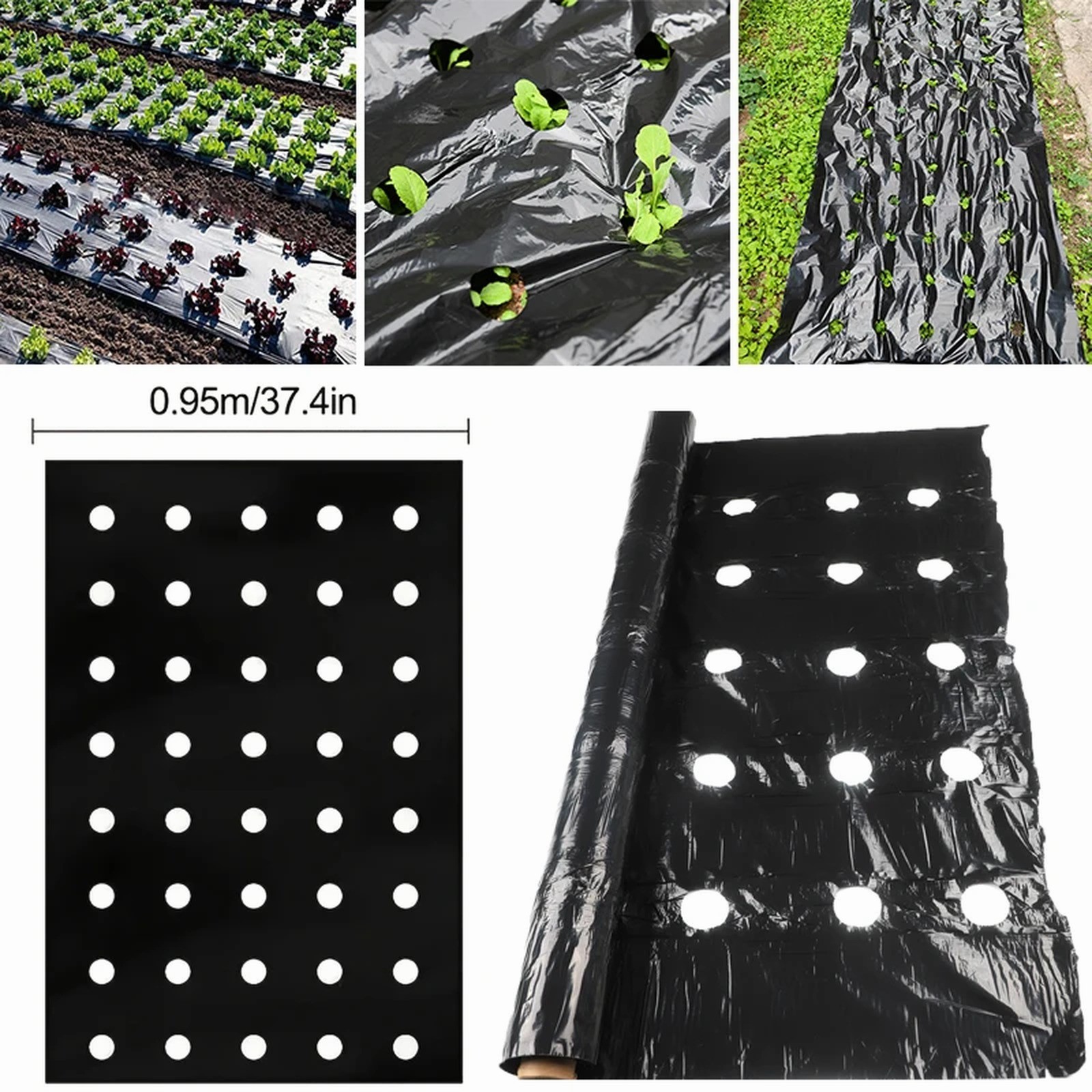 5~1181.1in5-HolesBlackPlasticMulchFilmPerforatedVegetablesPlant