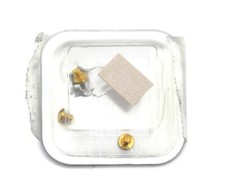 EBEL Discovery Gold Schrauben 883912