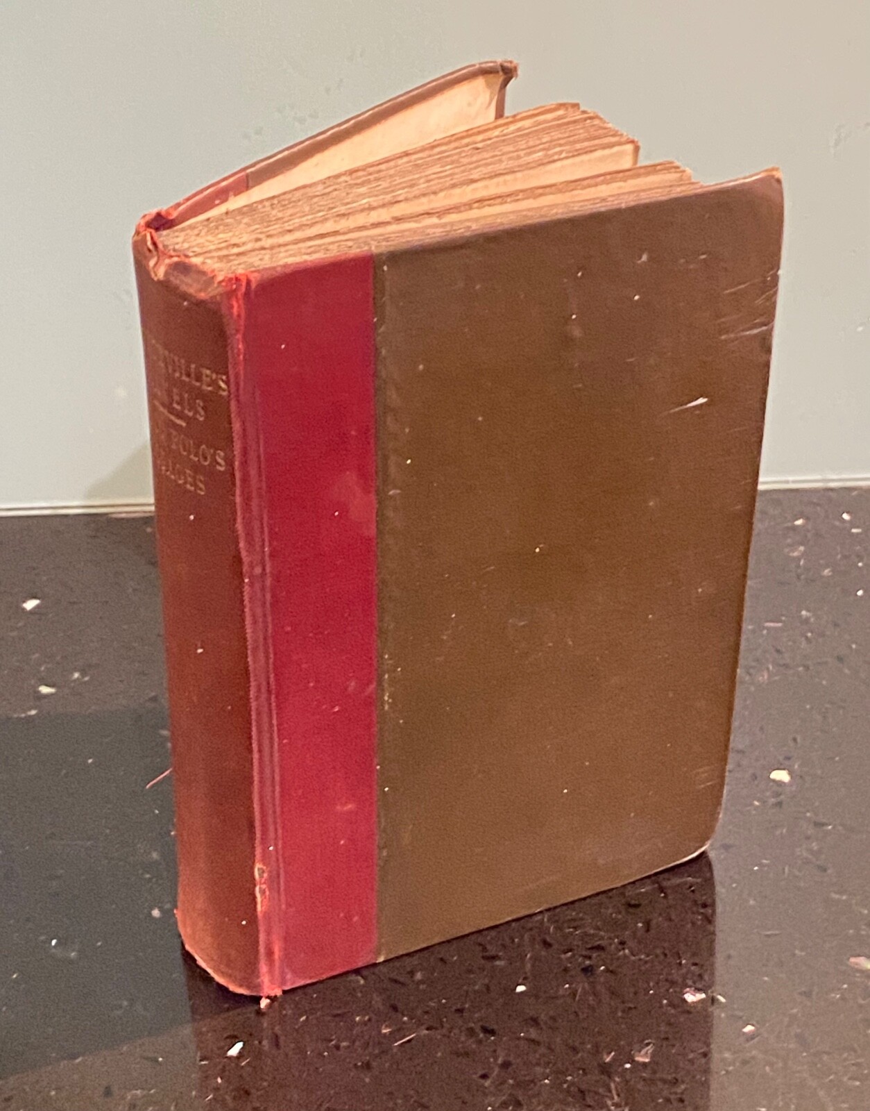 The Voyages & Travels Of John Maundeville & Marco Polo Antique Book Cassell & Co