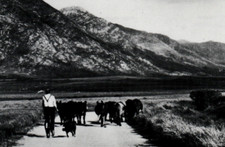 1980 Jinnie Fiennes  Thompson Price RPPC Insight Cards Folio 1 No 9 Postcard