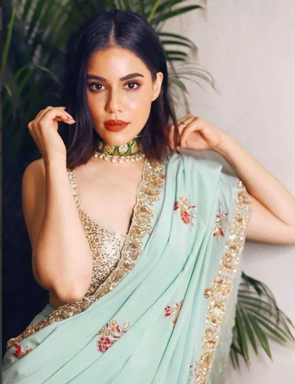 Party wear shop saree and lehenga