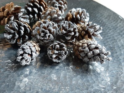 Christbaumschmuck, 12 natur verdrahtete Tannenzapfen & mattierter weißer Glitzer 