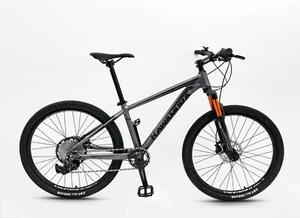 Mountain Bike MTB 12 Speed Aluminum Alloy 26/29 Inch New