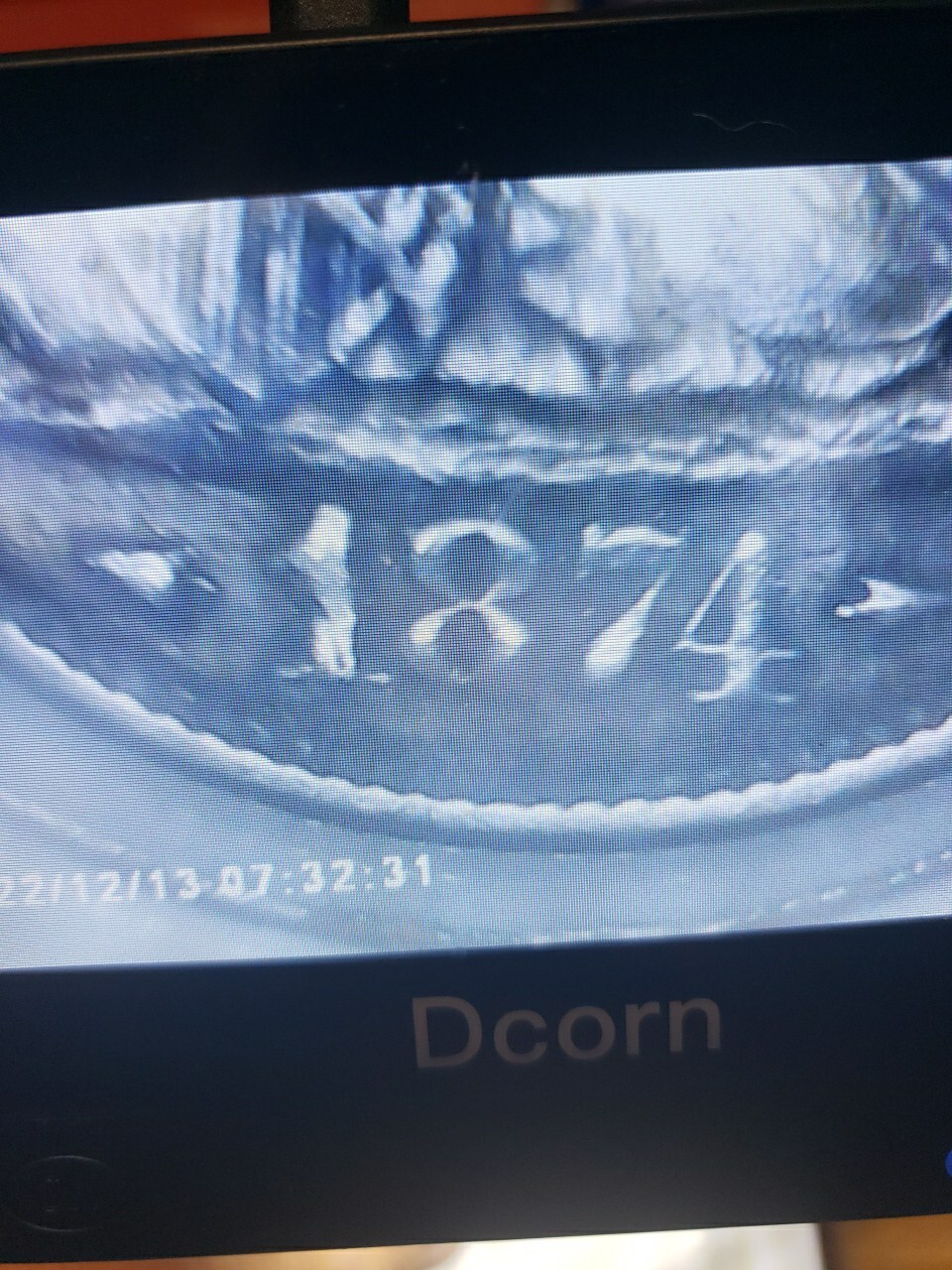 Picture 5 of 12