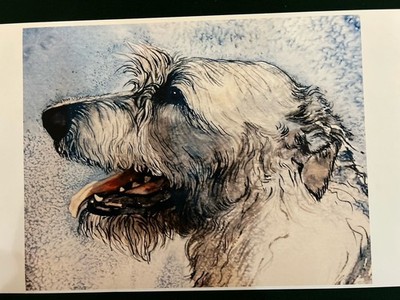 Irish Wolfhound Blue print by Martha Van Loan 8 x 10