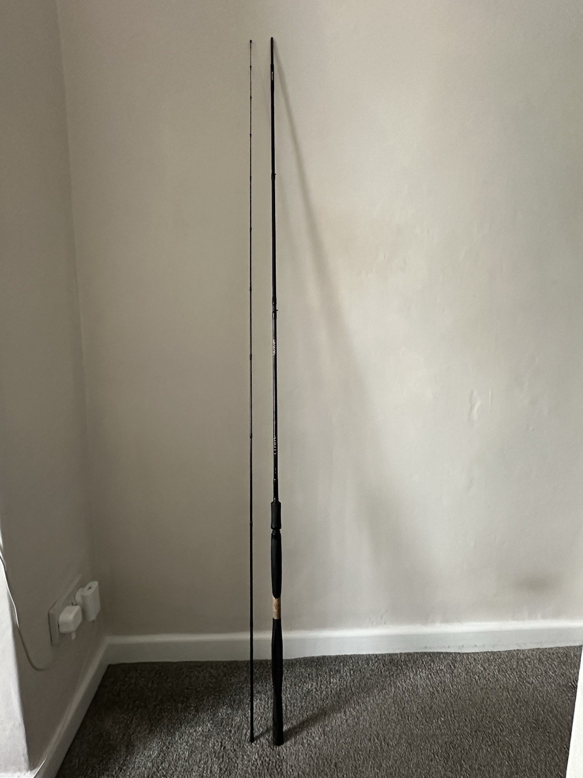 Daiwa Airity X45 11ft Float rod