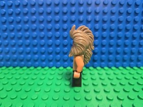 Lego Beorn Minifigure lor075 79011 LOTR Lord Rings Hobbit CMF Lot Rare Retired 
