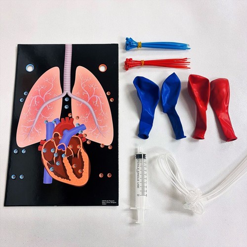 Pequeño Pasaporte Expediciones Científicas Corazón y Pulmones Modelo Nuevo