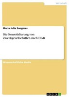 Die Konsolidierung Von Zweckgesellschaften Nach Hgb Maria Julia Sangines