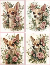 8 Chihuahua Shabby Chic with flowers glossy blank fold out note card envelopes