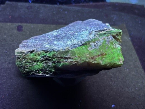 COOL CHUNK OF OPALIZED PETRIFIED WOOD, NEVADA: ALSO FLUORESCENT! - Picture 20 of 21