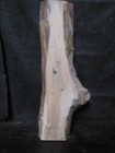 Bild 3 von 4