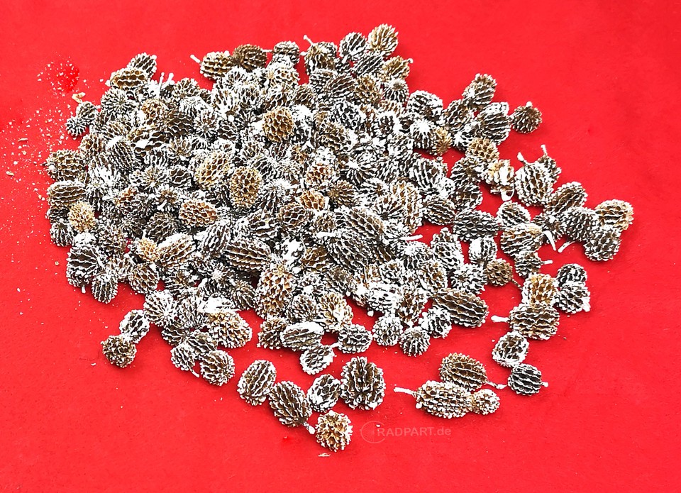 200 Stück Mini Tannenzapfen Natur - Weihnachtsdekoration Für DIY & Basteln