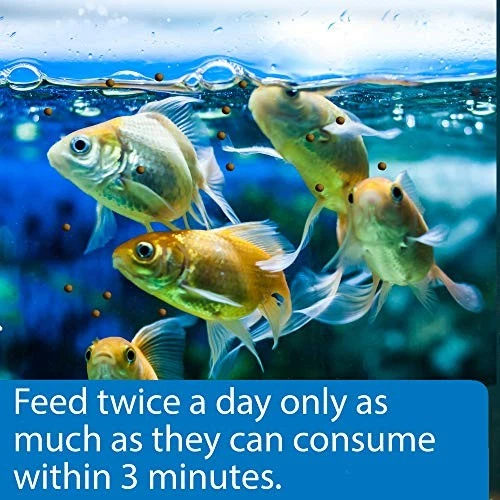 GRÁNULOS DE PECES DORADOS API Contenedor de 4 onzas para peces, mediano, modelo: 833B Foto 4 de 4