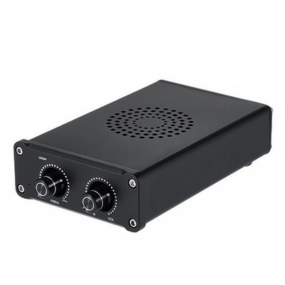 D200P TPA3221 Mono-Hochleistungs-Subwoofer-Verstärker HIFI Fever Digitaler 1230